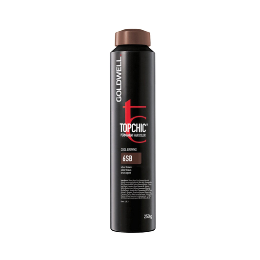 Goldwell Topchic Cool Browns Silber Braun 6SB, 250 ml - Goldwell Profi-Produkt