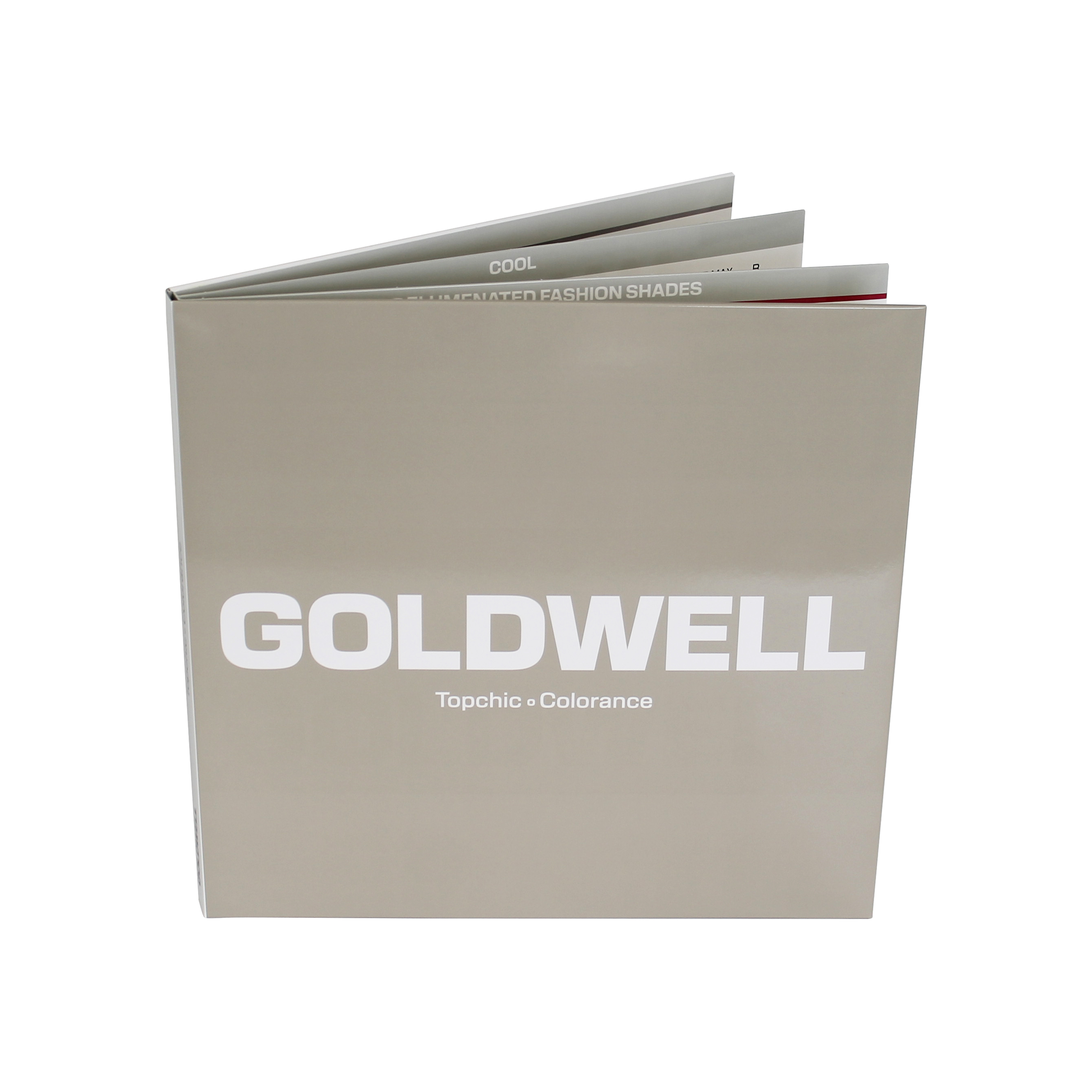 Goldwell Zubehör Beratungshilfen Combi Farbkarte - Goldwell Profi-Produkt