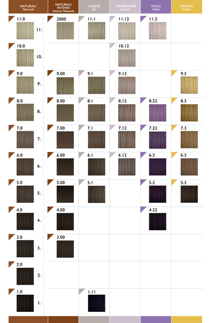 Black Sintesis Farbkarte mit Natur-, Intensivnatur-, Asch-, Irisé-Asch-, Violett- und Goldtönen