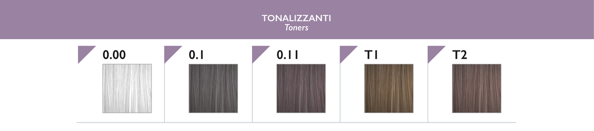 Black Sintesis Toner-Farbkarte mit 0.00, 0.1, 0.11, T1 und T2
