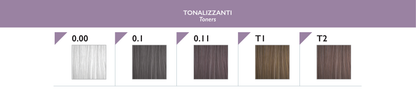 Black Sintesis Toner-Farbkarte mit 0.00, 0.1, 0.11, T1 und T2