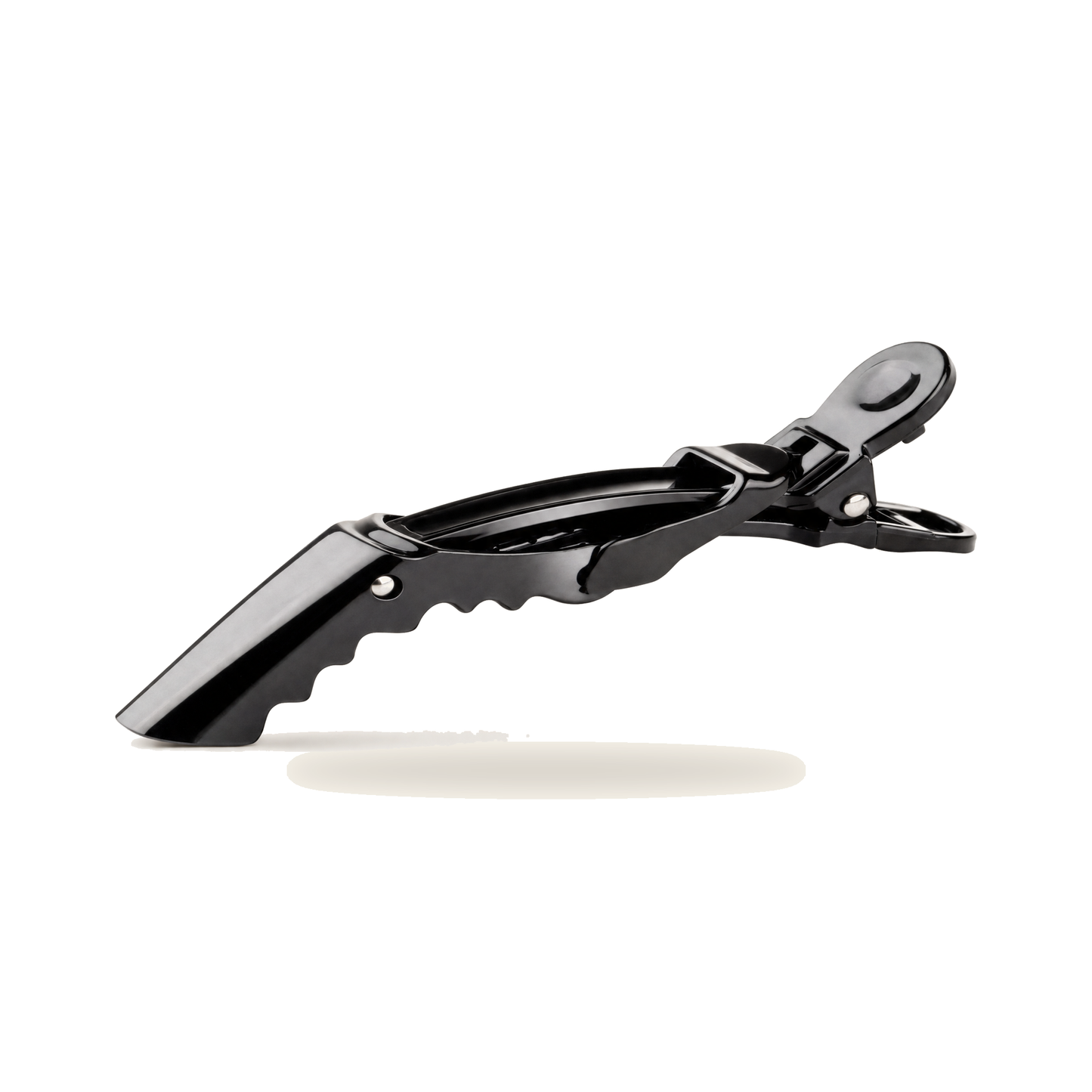 Alligator-Haarspangen 10er-Set Schwarz 10 cm für Salon - Produktfoto auf weißem Hintergrund