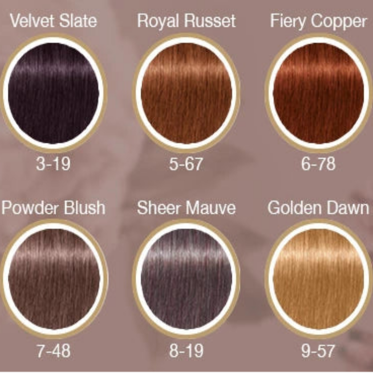 Schwarzkopf Igora Royal 4-332 Farbcreme in Anwendung mit Färbepinsel & Färbeschale im Salon