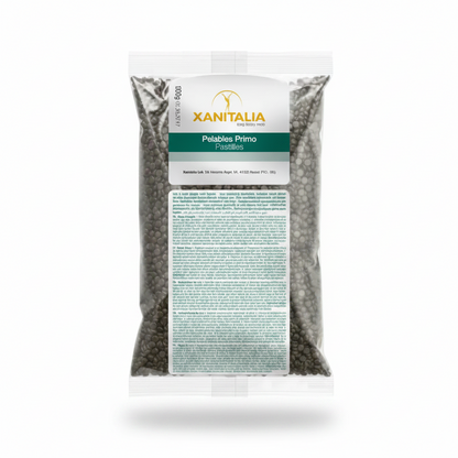 Xanitalia Wax Beans Schwarz Stripless Warmwachs Haarentfernung